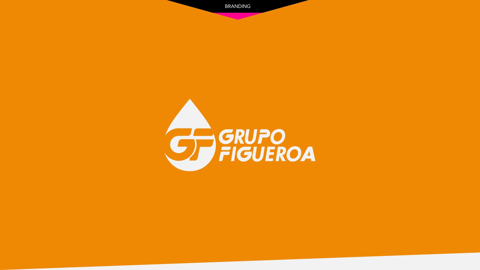 GRUPO FIGUEROA